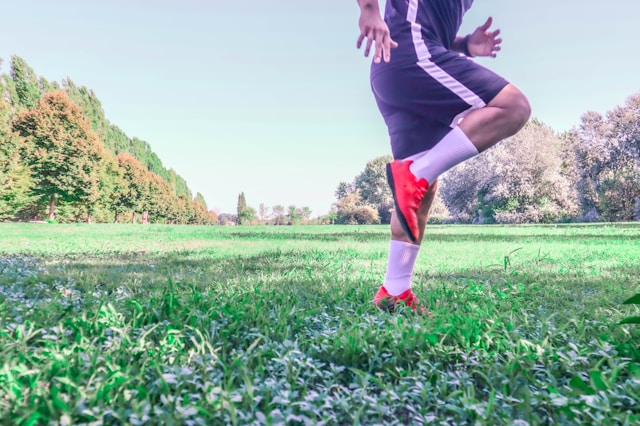 Tramonvessia възстановяване