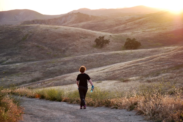 Tramonvessia домашна енергия